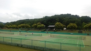 DSC_2608a.jpg